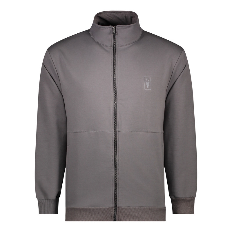 سویشرت مردانه ایزی دو مدل 8170 رنگ طوسی